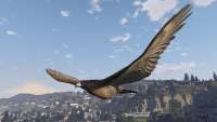 En GTA 5 se puede convertir en un halcón!