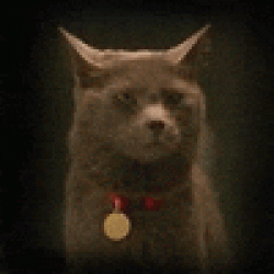 Avatar del usuario Art29