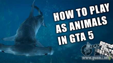 Cómo convertirse en un animal en GTA 5? Convertido en el animal es muy simple!