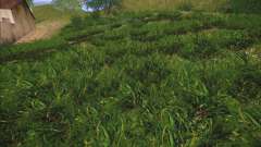 New grass para GTA San Andreas