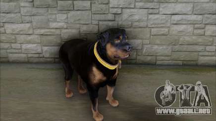Rottweiler from GTA 5 para GTA San Andreas