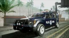 Ford Pickup Policia Federal