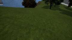 Eliminación de hierba (elimina la hierba para aumentar los FPS) para GTA 3 Definitive Edition