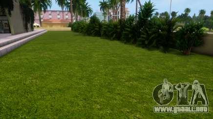 Eliminación de hierba (elimina la hierba para aumentar los FPS) para GTA Vice City Definitive Edition