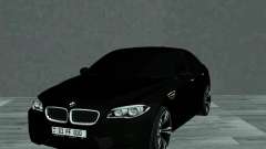 BMW M5 F10 V2 AM Plates