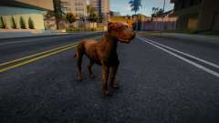 El perro de S.T.A.L.K.E.R. para GTA San Andreas