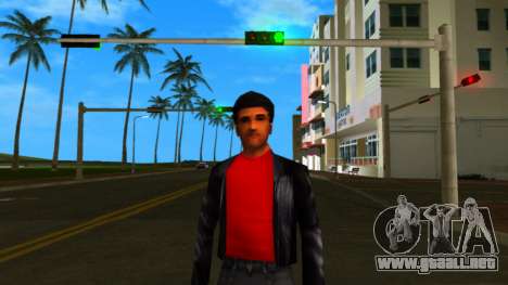 HD Hmyst para GTA Vice City