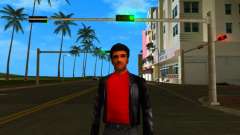 HD Hmyst para GTA Vice City