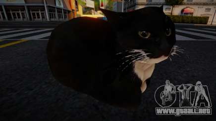 Maxwell The Cat Dingus para GTA San Andreas