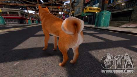 Shiba Inu para GTA 4