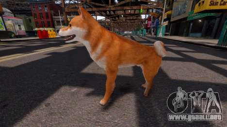 Shiba Inu para GTA 4