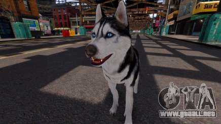 Husky siberiano para GTA 4