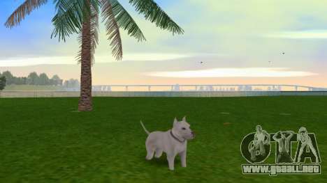 Pittbul Dog Mod para GTA Vice City