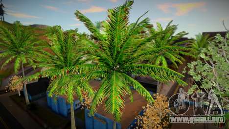 Árboles y palmeras de alta calidad para GTA San Andreas