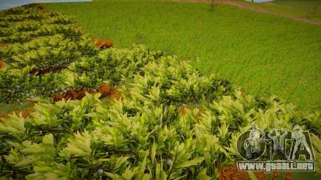 Grass from Sniper Ghost Warrior para GTA San Andreas