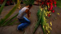 Recoger flores en Glen Park para GTA San Andreas