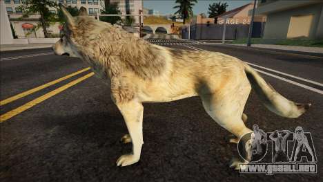 Lobo gris para GTA San Andreas