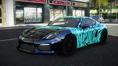 Porsche Cayman MSR S10 para GTA 4