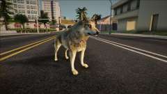 Lobo gris para GTA San Andreas